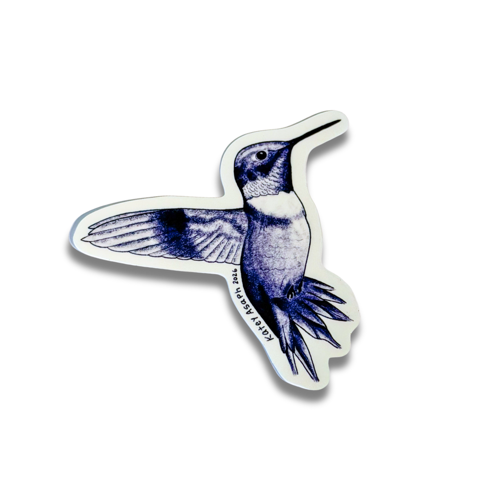 Hummingbird Sketch Sticker