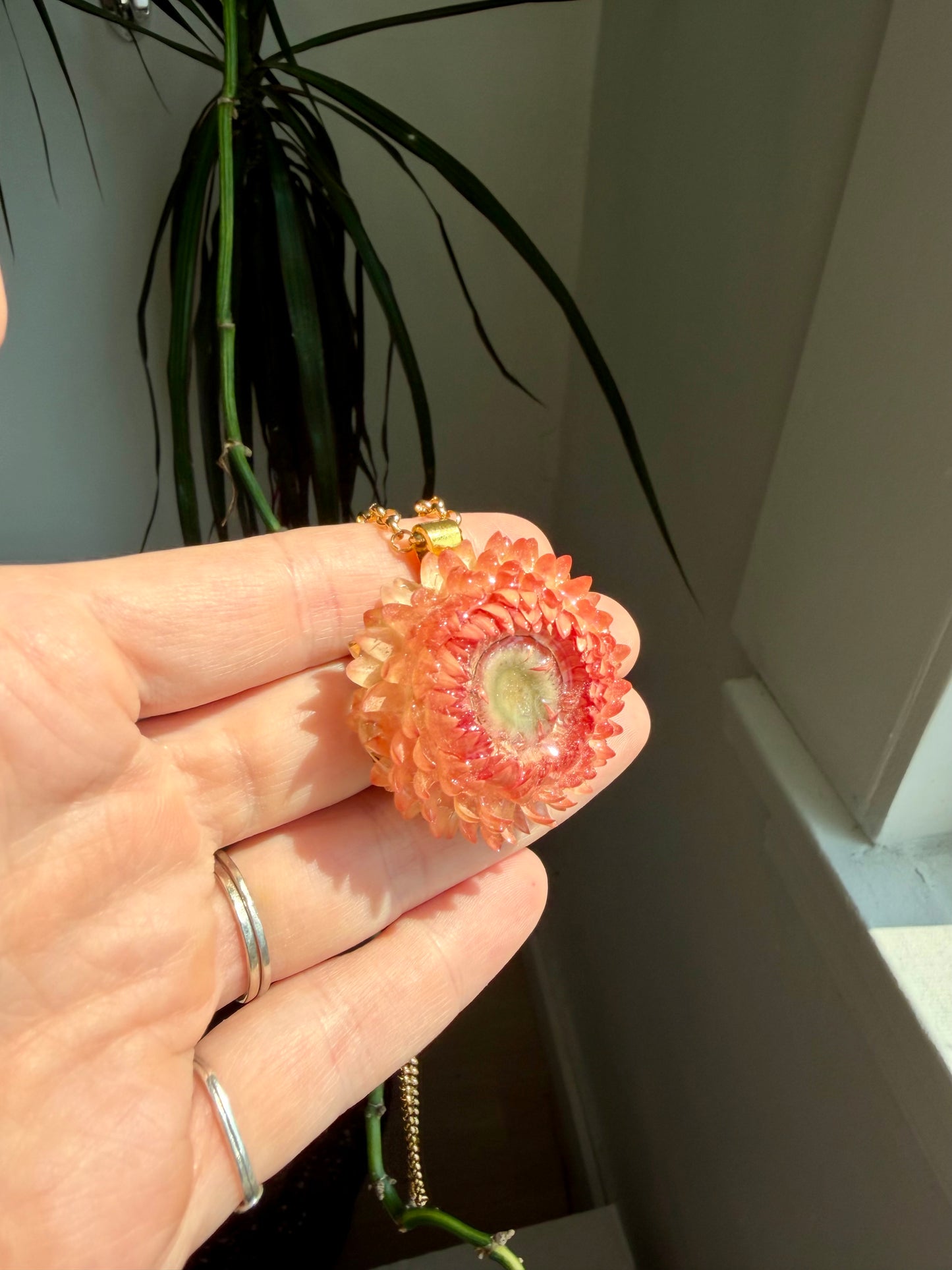 Straw Flower & Carnelian Necklace