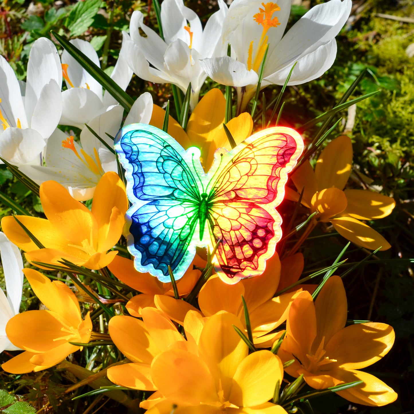 Butterfly Holographic Sticker
