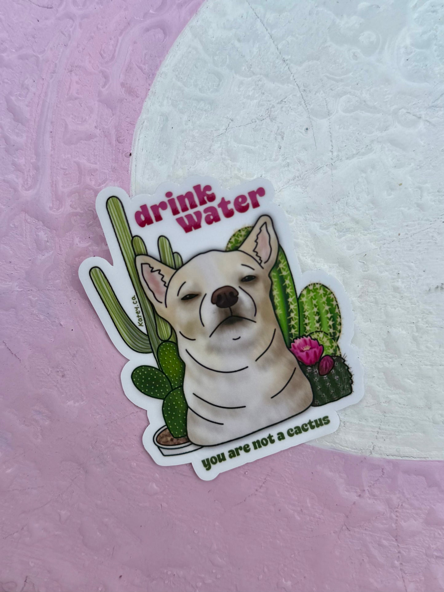 Drink water, You are not a cactus Sticker