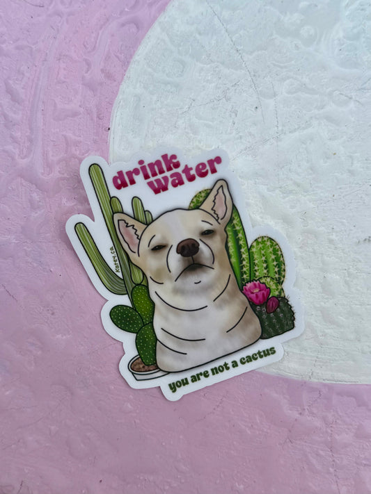 Drink water, You are not a cactus Sticker