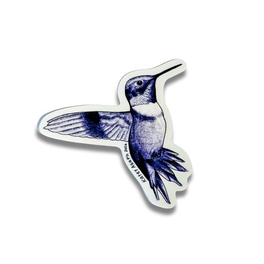 Hummingbird Sketch Sticker