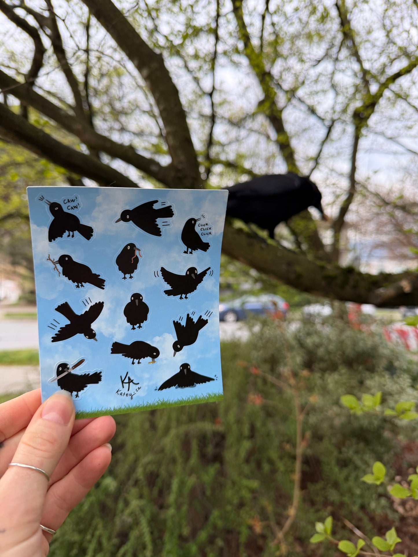 Crow Sticker Sheet